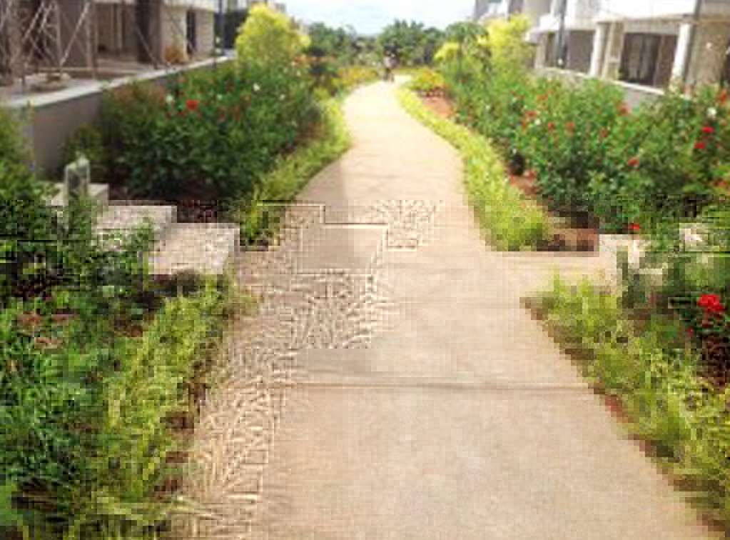Garden & Landscape Walkway