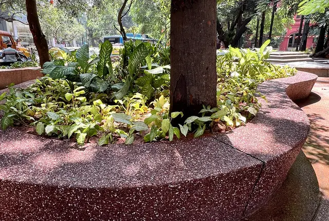 planter wall
