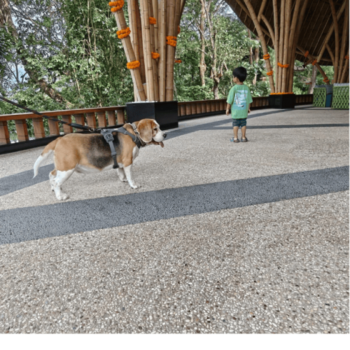 Untitled-1500-x-1500-px.zip-24 (1)